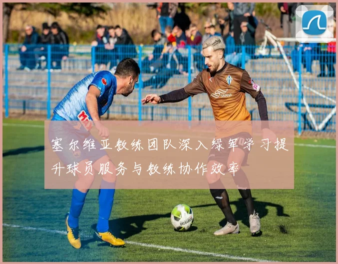 塞尔维亚教练团队深入绿军学习提升球员服务与教练协作效率