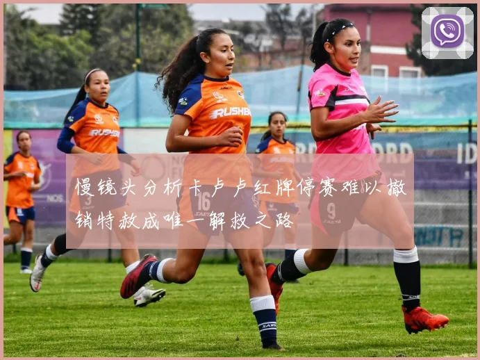 慢镜头分析卡卢卢红牌停赛难以撤销特赦成唯一解救之路