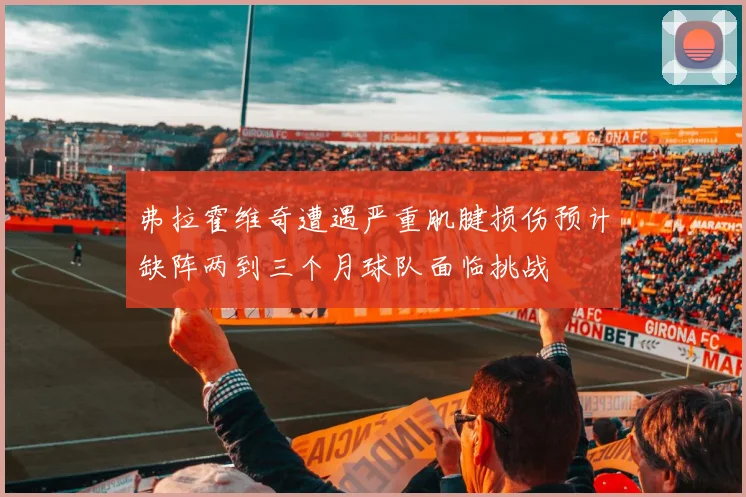 弗拉霍维奇遭遇严重肌腱损伤预计缺阵两到三个月球队面临挑战