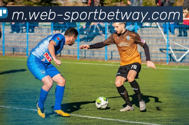 必威体育APP 封面图